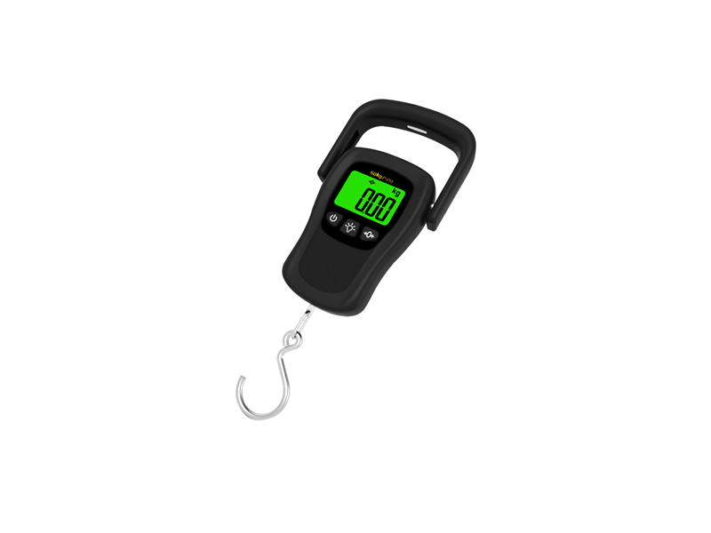 50g-50kg便携式手提吊钩秤